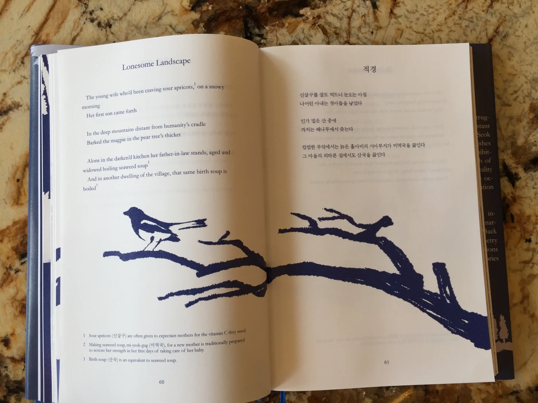 An open bilingual poetry book